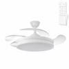 (GI-FAN11-CCT_padreImg_gi_fan11_cct_0.png)