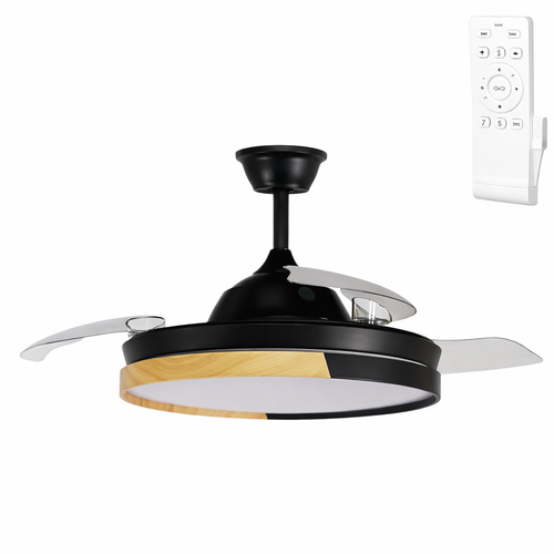 (GI-FAN13-CCT_padreImg_gi_fan13_cct_0.png)