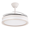 (GI-FAN1-CCT_padreImg_gi_fan1_cct_1.png)