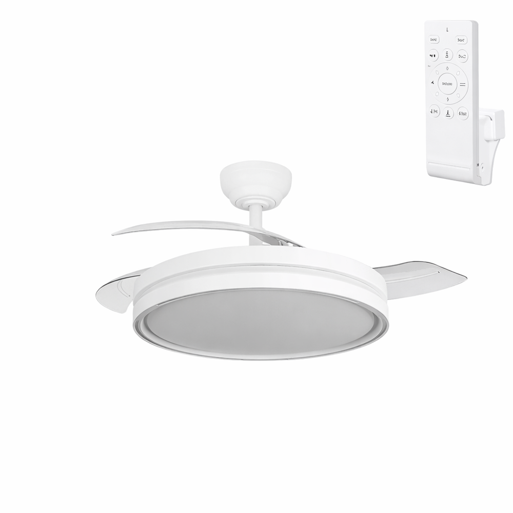(GI-FAN4-CCT_padreImg_gi_fan4_cct_0.png)
