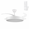 (GI-FAN7-CCT_padreImg_gi_fan7_cct_0.png)