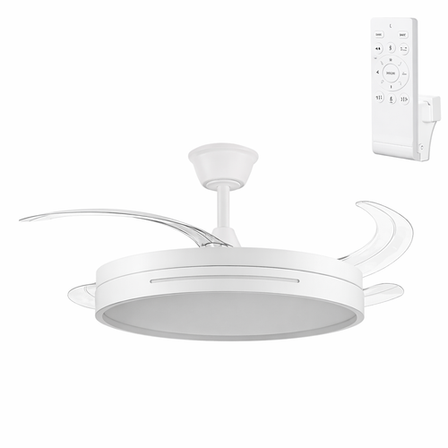 (GI-FAN7-CCT_padreImg_gi_fan7_cct_0.png)