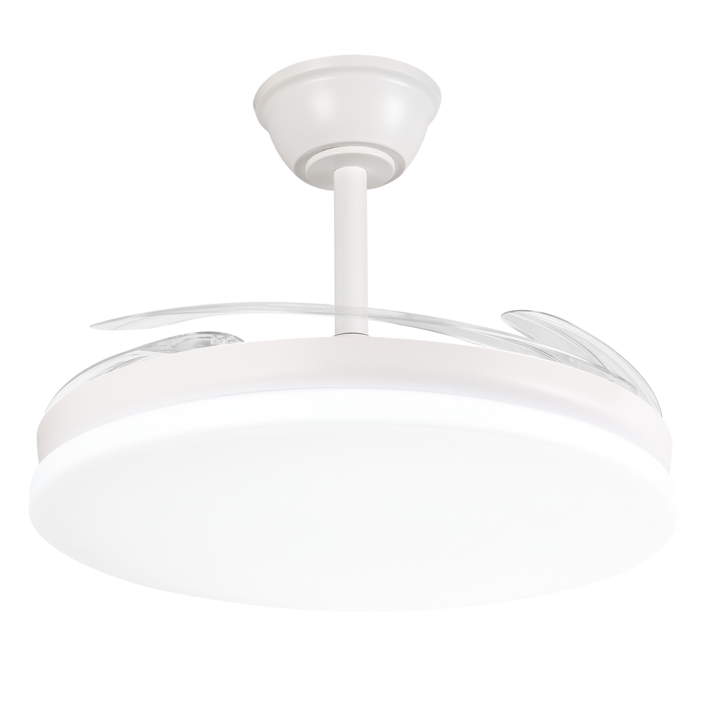 (GI-FAN8-CCT_padreImg_gi_fan8_cct_1.png)
