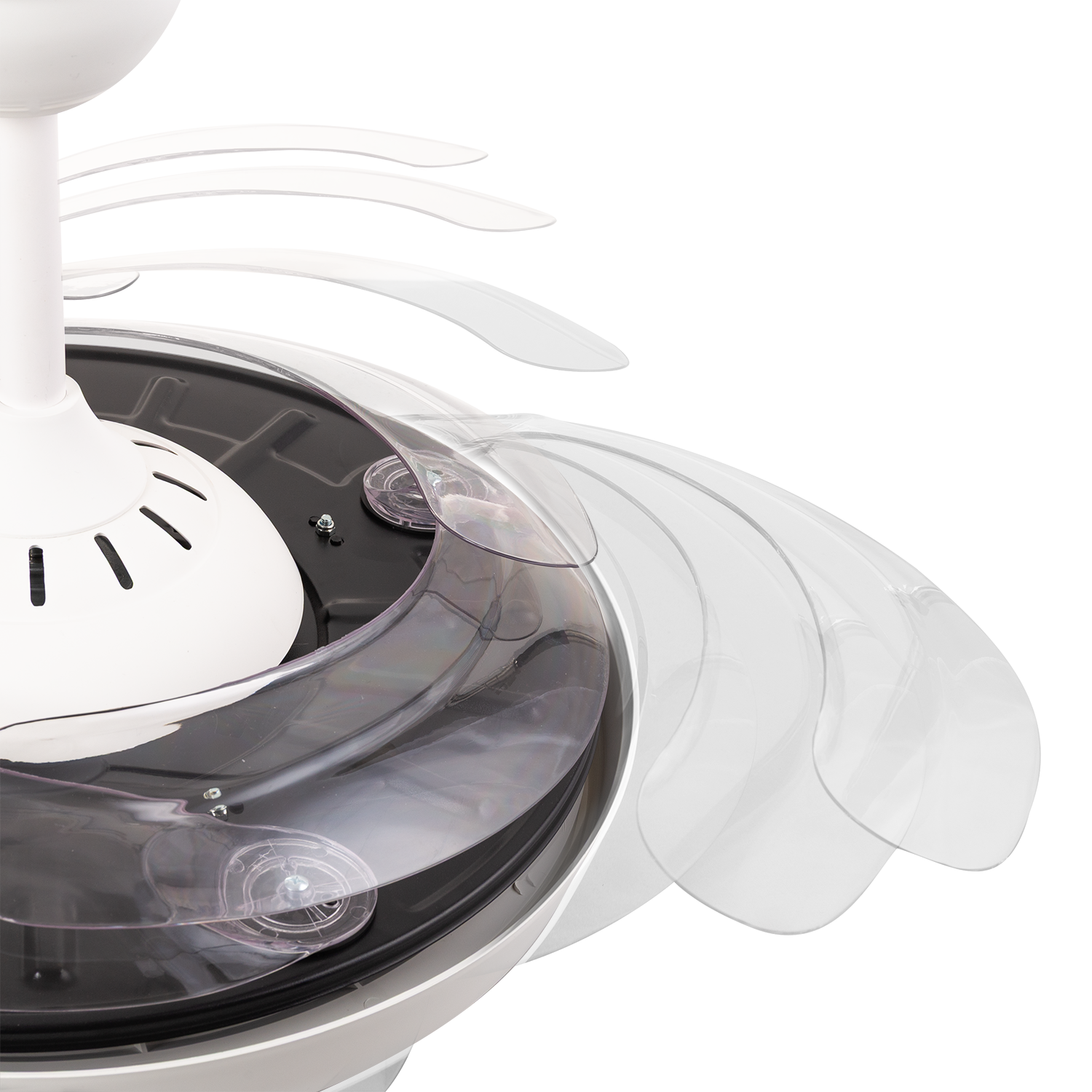 (GI-FAN8-CCT_padreImg_gi_fan8_cct_2.png)