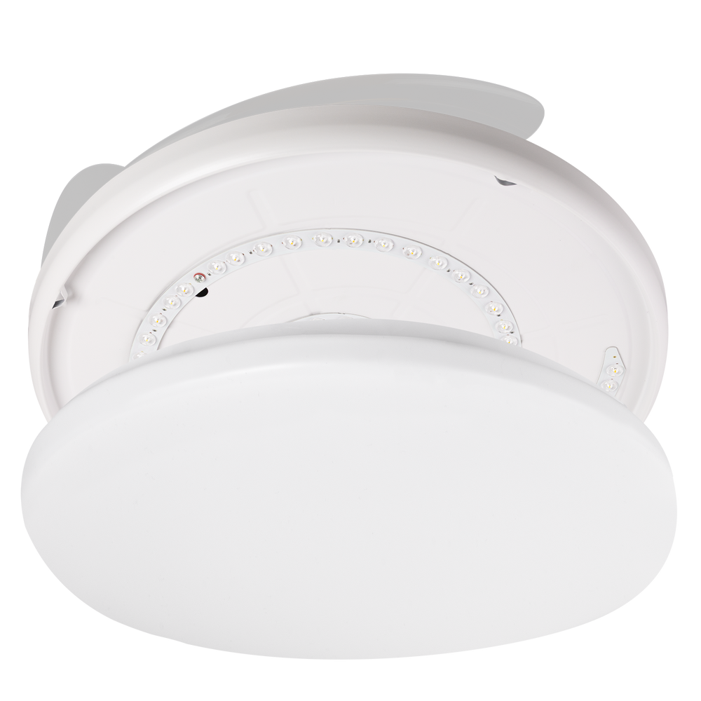 (GI-FAN8-CCT_padreImg_gi_fan8_cct_3.png)