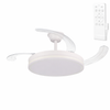 (GI-FAN9-CCT_padreImg_gi_fan9_cct_0.png)