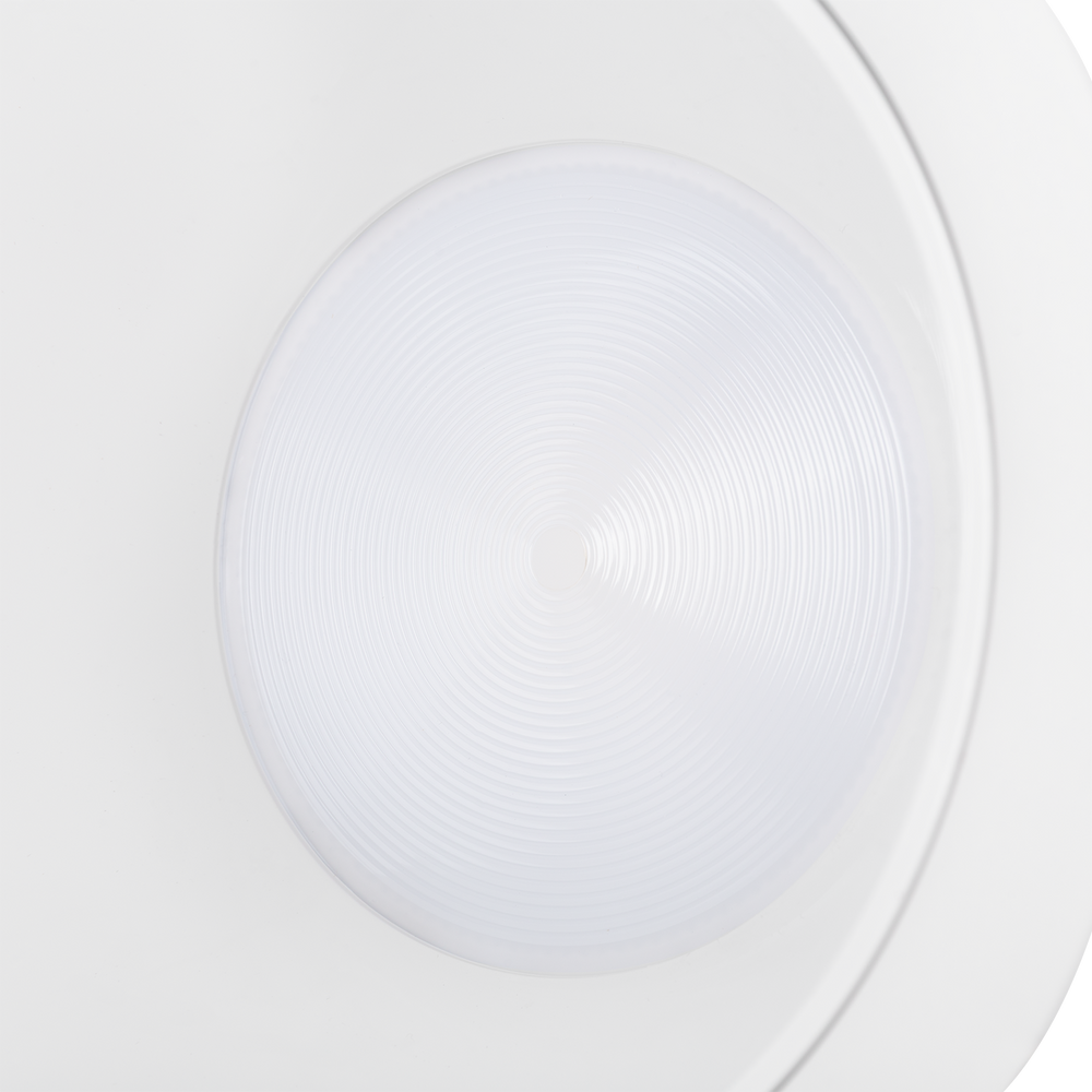 (HO-DL-AD-50W-CW_padreImg_ho_dl_ad_50w_cw_1.png)