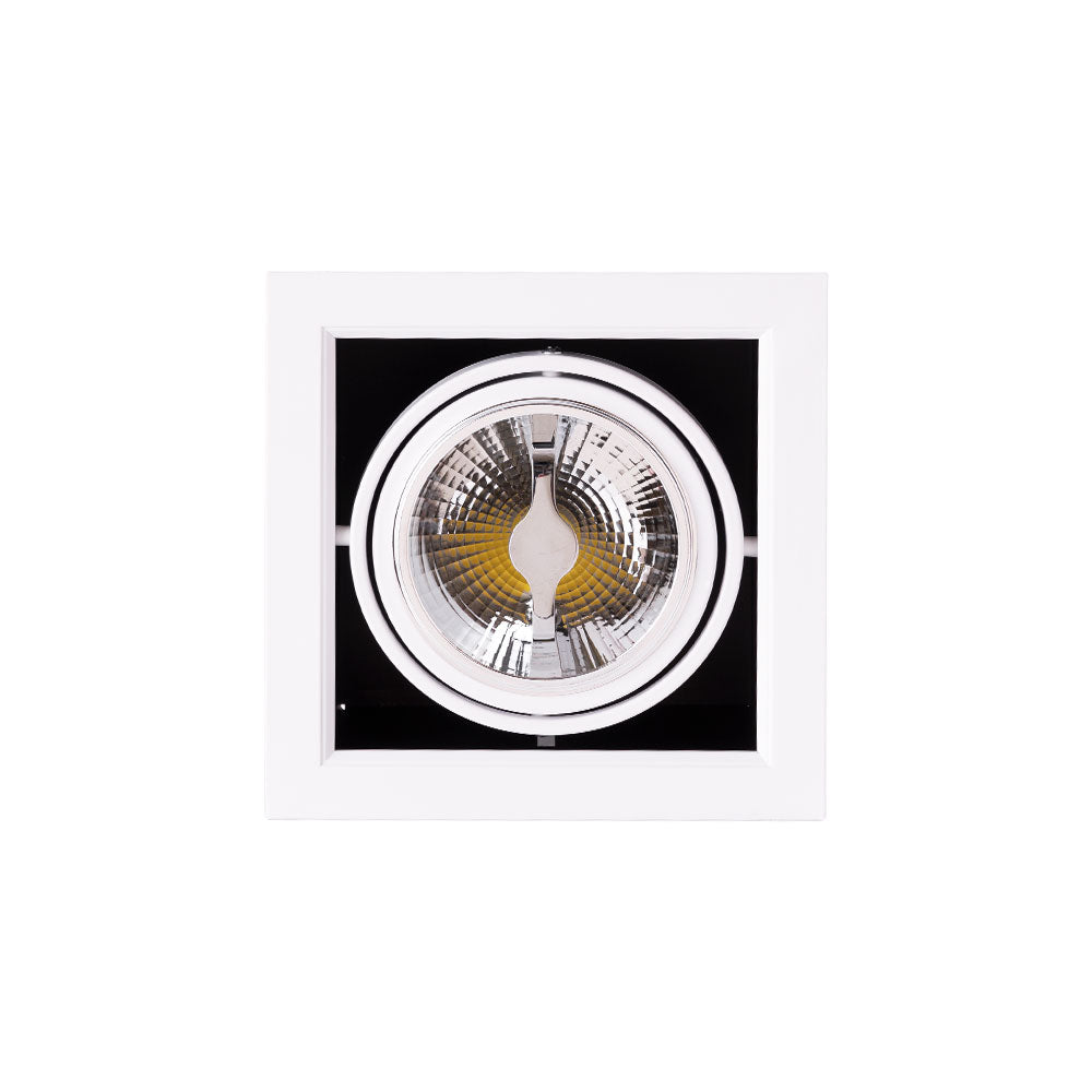 (JW-CAR-LED-1x12W-CW_padreImg_jw_car_led_1x12w_cw_1.jpeg)
