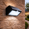 (PL-626021-CW_padreImg_pl_626021_cw_0.png)